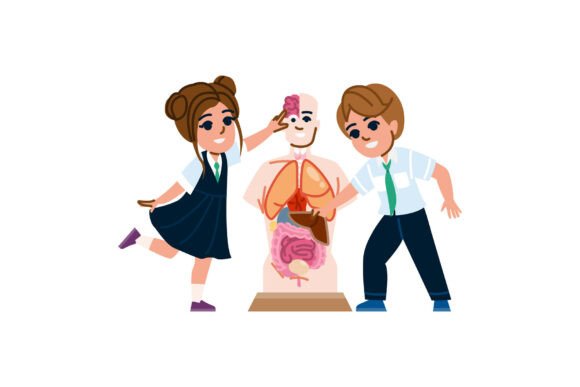 Building the Future: The Role of a Fitness Health Education School in Modern Wellness